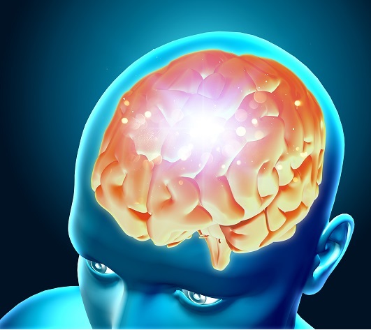 3d medical figure showing male brain